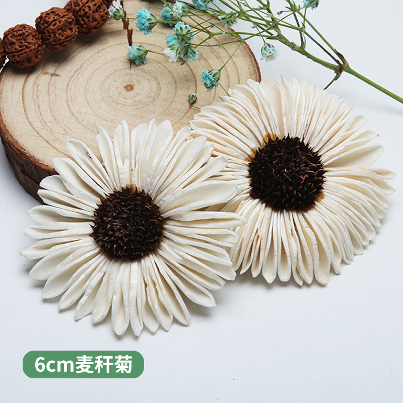 10PCS African Daisy Hand-made  - Home Decor Daisy 评论和价格