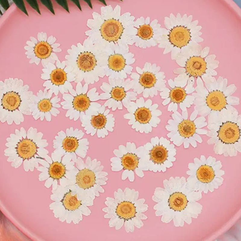 100Pcs Natural White Crystal C - Home Decor Daisy 评论和价格