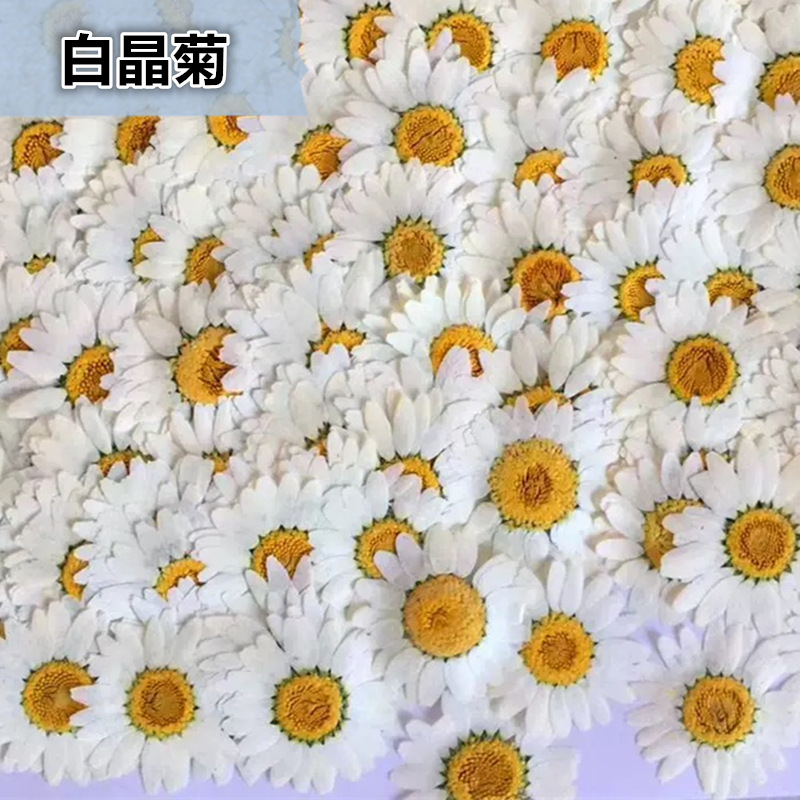 100Pcs Natural White Crystal C - Home Decor Daisy 评论和价格
