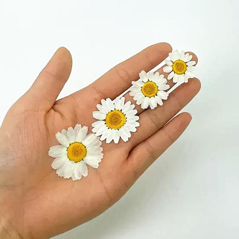 100Pcs Natural White Crystal C - Home Decor Daisy 评论和价格