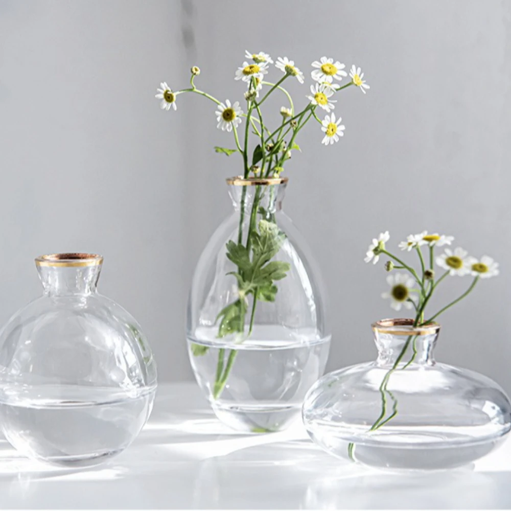 Nordic Transparent Glass Vase  - Glass Vase Nordic 评论和价格