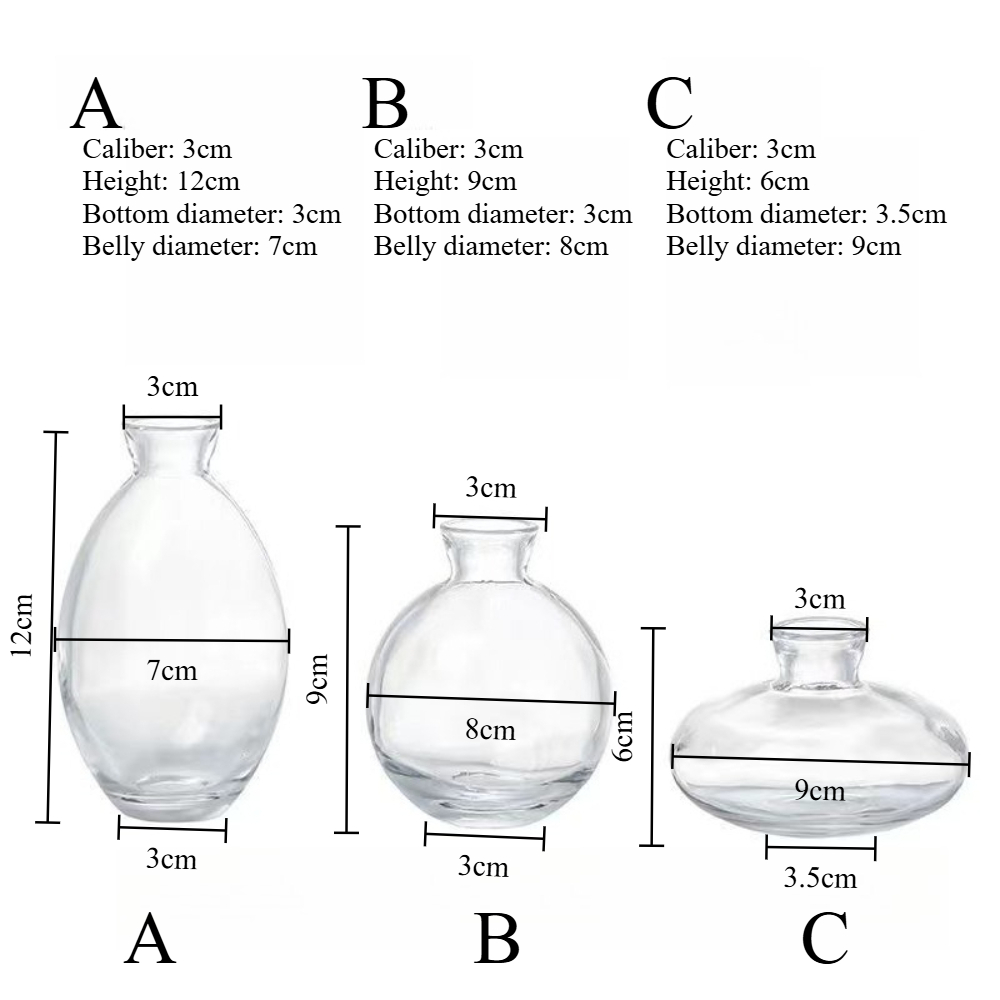 Nordic Transparent Glass Vase  - Glass Vase Nordic 评论和价格