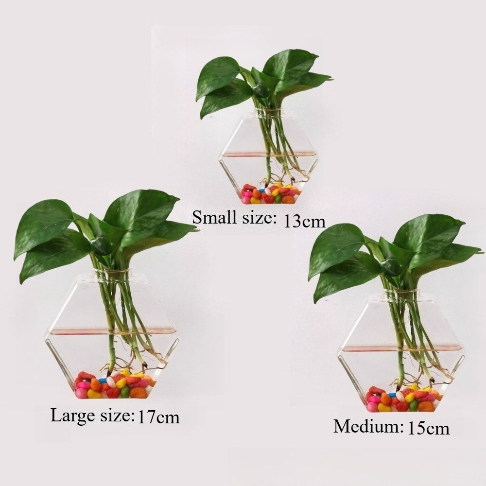 Creative irregular hanging hyd - Glass Vase Nordic 评论和价格